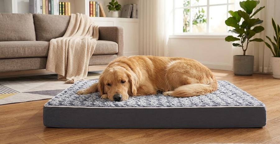 Orthopedic dog bed guide cover image