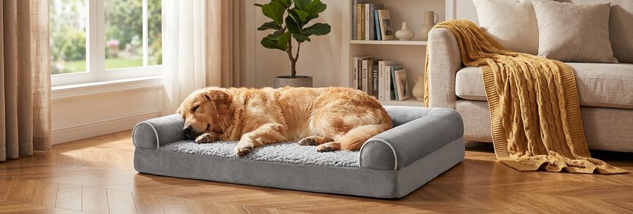 Orthopedic XL L-Shaped Bed in a sunlit living room